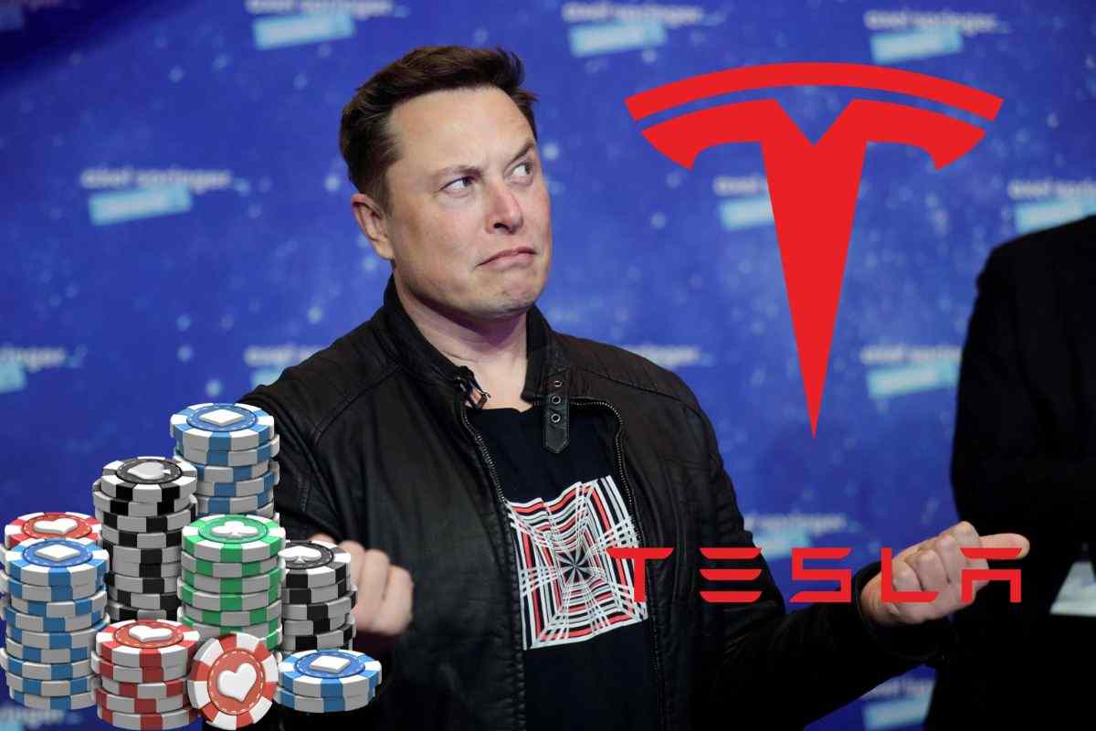 Elon Musk Tesla auto Model 2 Gigafactory Shanghai